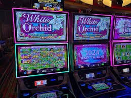 benua777 featured game showcase benua777 featured game showcase